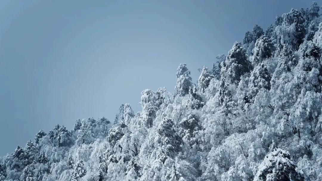 逃离橙园